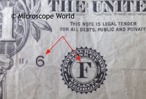 Microscope World Blog: Kids Science: Dollar Bill Under the Microscope